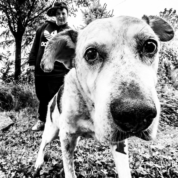 Slideshow jaimie branch and patton dog photo by peter gannushkin
